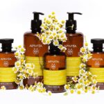 Apivita Eco Pack Gentle Daily Shampoo Απαλό Σαμπουάν για Καθημερινή Χρήση με Χαμομήλι, 500ml - Image 2