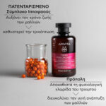 Apivita Women's Tonic Shampoo Τονωτικό Σαμπουάν κατά της Γυναικείας Τριχόπτωσης με Hippophae TC & Δάφνη, 250ml - Image 4