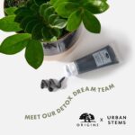 Origins Clear Improvement Active Charcoal Mask to Clear Pores Μάσκα με Ενεργό Άνθρακα για Βαθύ Καθαρισμό των Πόρων, 75ml - Image 2