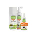 Frezyderm PROMO Lice Free Set Αντιφθειρική Αγωγή Σαμπουάν, 125ml & Λοσιόν, 125ml & ΔΩΡΟ Lice Rep Spray Extreme, 80ml