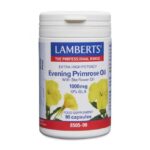 Lamberts Evening Primrose Oil για γυναίκες Κατά τη Διάρκεια της Εμμηνόπαυσης, Γυναίκες Κατά τη Διάρκεια της Έμμηνου Ρύσεως & για την Υγεία του Δέρματος σε Καλή Κατάσταση, 90caps