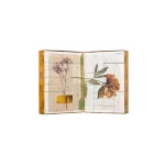 Korres Promo Limited Edition Advent Calendar 2024 Spread Joy 1 τεμάχιο - Image 3