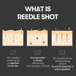 VT Cosmetics Reedle Shot 300 Micro-needle Face Booster 50ml - Image 3