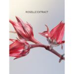 Darphin Eclat Sublime Rejuvenating Repair Κρέμα λάμψης & Αντιγήρανσης, 50ml - Image 6