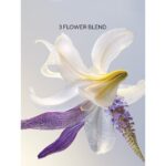 Darphin Eclat Sublime Rejuvenating Repair Κρέμα λάμψης & Αντιγήρανσης, 50ml - Image 7