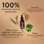 Apivita Dandruff Relief Oil Λάδι κατά της Ξηροδερμίας & Πιτυρίδας, 50ml - Image 2