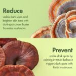 Origins Dr. Weils Mega Mushroom Dark Spot Brightening Moisturizer Ενυδατική Κρέμα Προσώπου κατά των Κηλίδων 50ml - Image 4