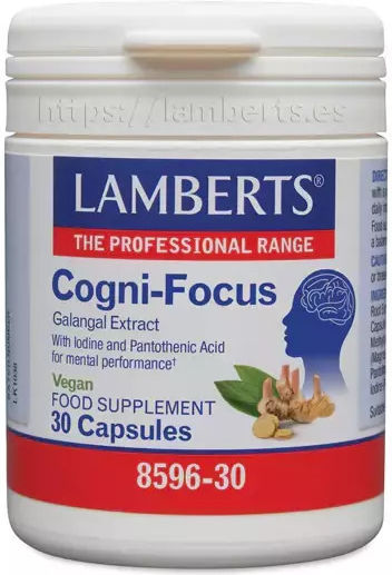Lamberts Cogni-focus Galangal Ειδικό Συμπλήρωμα Διατροφής 30 κάψουλες - Image 1