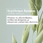 Klorane Avoine Dry Shampoo Για όλους τους τύπους μαλλιών, 150ml - Image 3