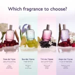 Caudalie Fresh Fragrance The des Vignes Γυναικείο Άρωμα, 50ml - Image 6