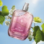 Caudalie Fresh Fragrance The des Vignes Γυναικείο Άρωμα, 50ml - Image 2