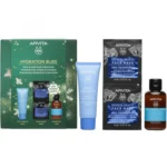 Apivita Promo Hydration Bliss με Aqua Beelicious Comfort Hydrating Rich Cream Κρέμα Ενυδάτωσης Πλούσιας Υφής, 40ml & Δώρο Express Beauty Μάσκα Προσώπου Θαλάσσια Λεβάντα, 2x8ml & Δώρο Hyaluronic Hydra Σαμπουάν Ενυδάτωσης, 75ml, 1σετ